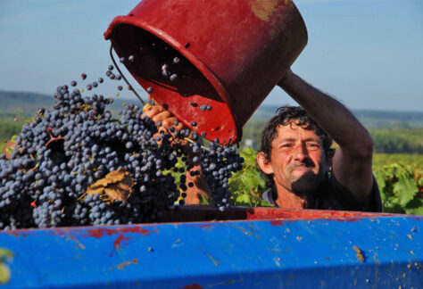 LOIRE MIT CHARAKTER! BERNARD BAUDRY - CHINON