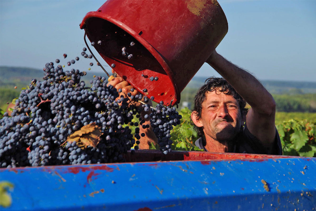 LOIRE MIT CHARAKTER! BERNARD BAUDRY - CHINON